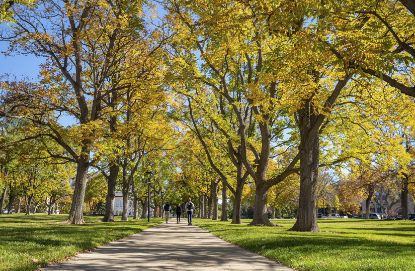 Picture of UofU Public Health Alumni Membership